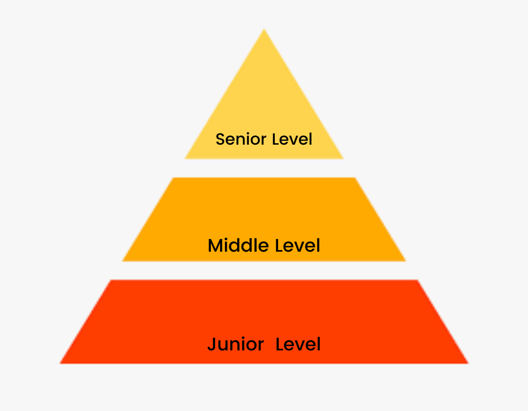 Senior Level